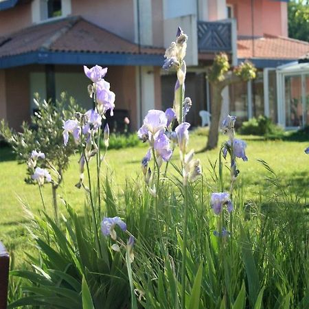 Villa Helianthe Оданж Экстерьер фото
