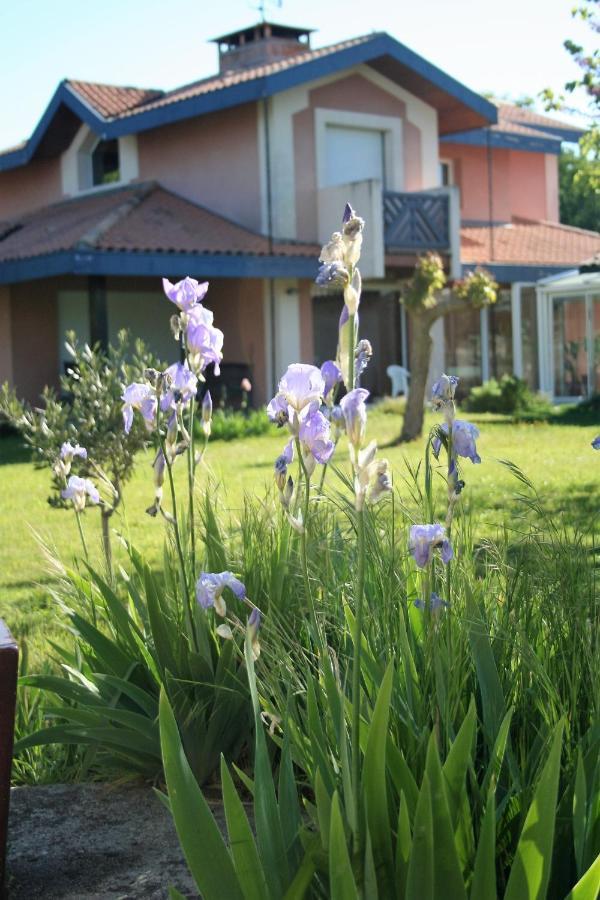 Villa Helianthe Оданж Экстерьер фото